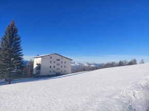 Gemütliche Wohnung mit Talblick